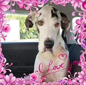 Meet your Posher, Denise